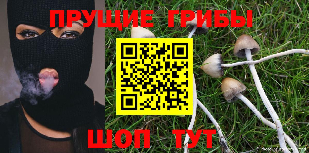 Нижнекамск  Псилоцибиновые грибы Psilocybine cubensis  Вход с VPN  Галлюциногенные грибы мухоморы 