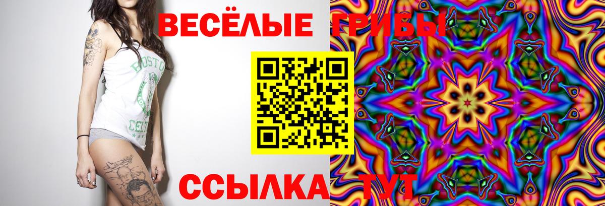 АМФ   Нижнекамск  Мефедрон   Вход с VPN  Гашиш  МАРИХУАНА 